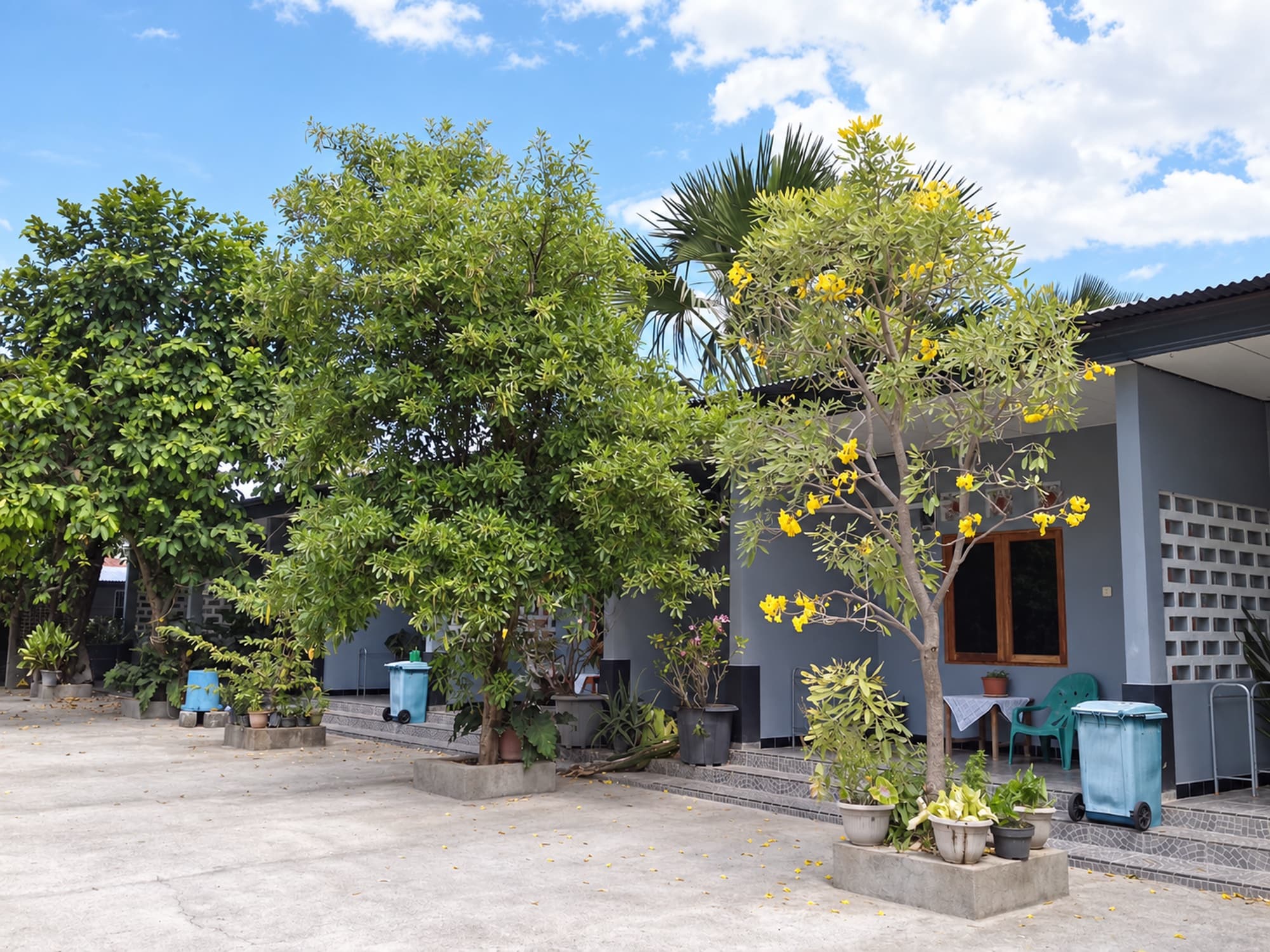 Gratidão Guest House (1/6)