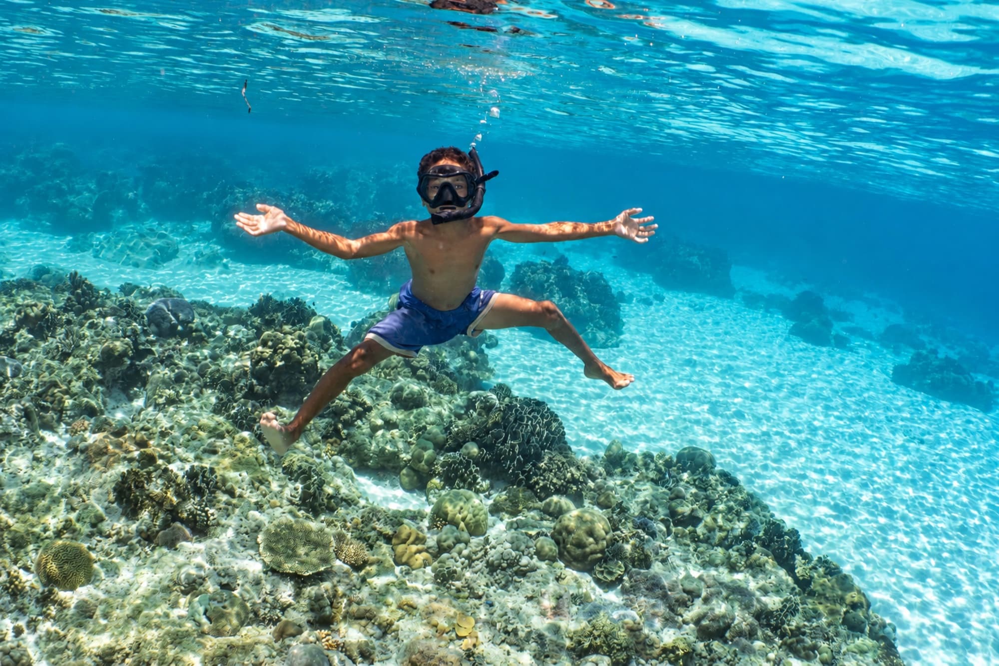 Atauro Snorkel Trip (1/3)