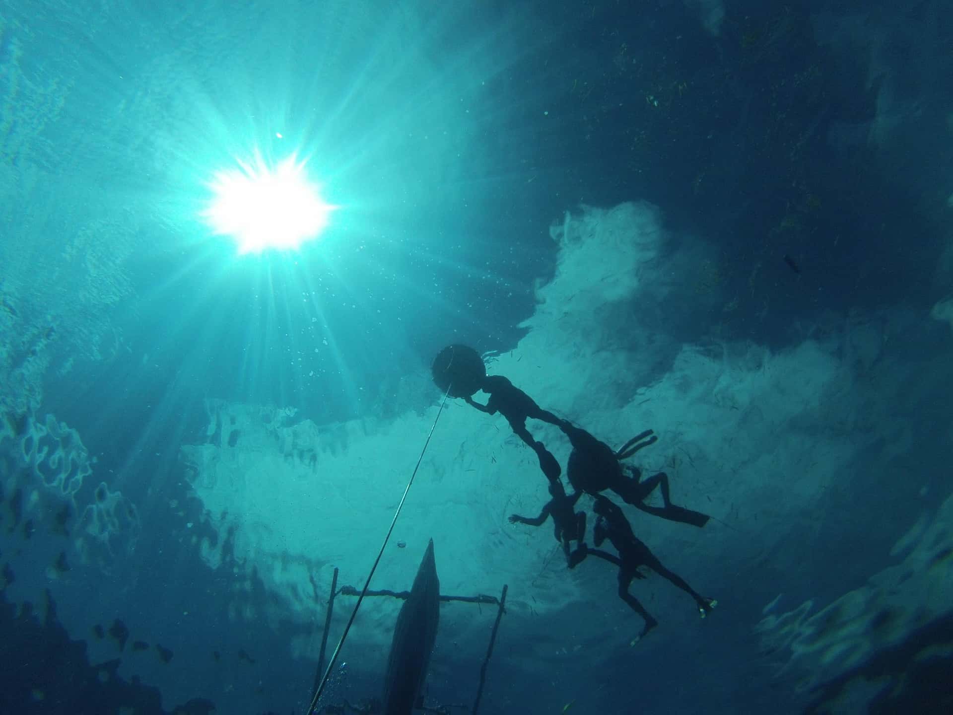 AIDA Freediving Course (Level 2)